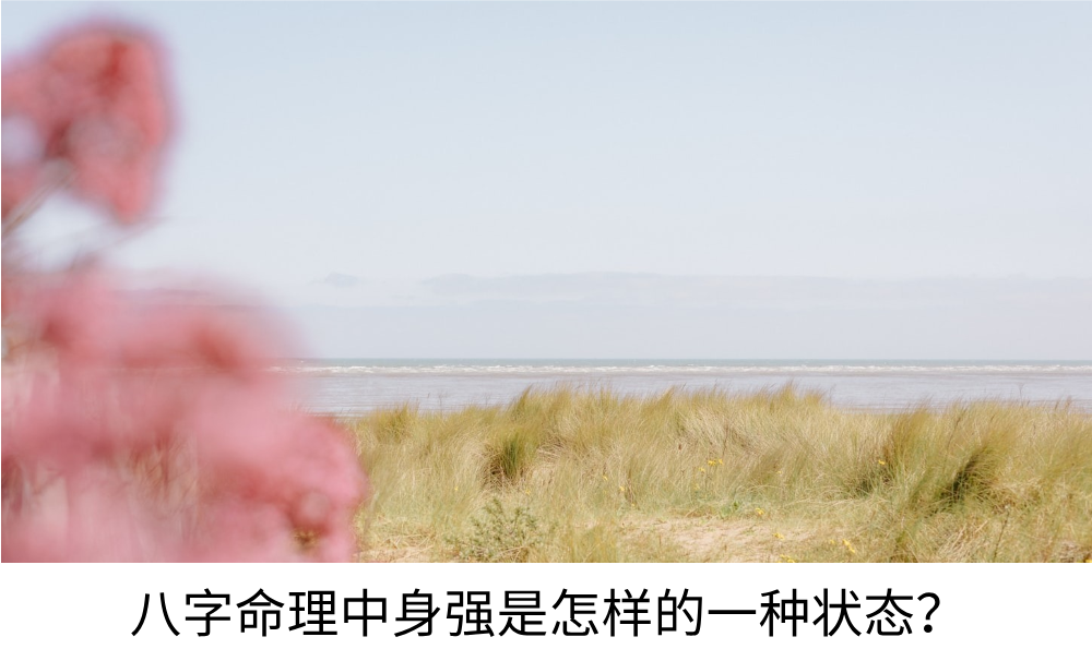 八字命理中身强是怎样的一种状态？
