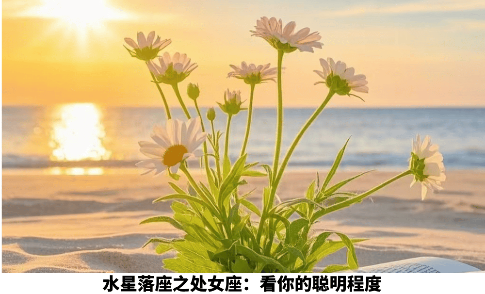水星落座之处女座：看你的聪明程度