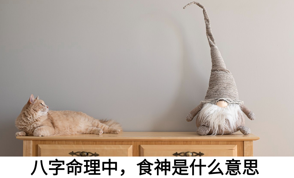 八字命理中，十神食神是什么意思