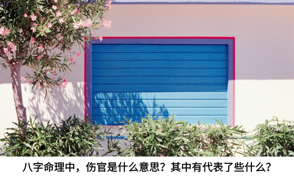八字命理中，正印是什么意思？其中有代表了些什么？