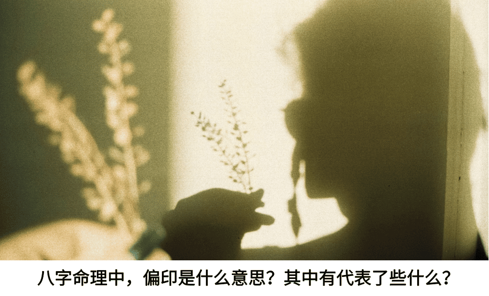 八字命理中，偏印是什么意思？其中有代表了些什么？