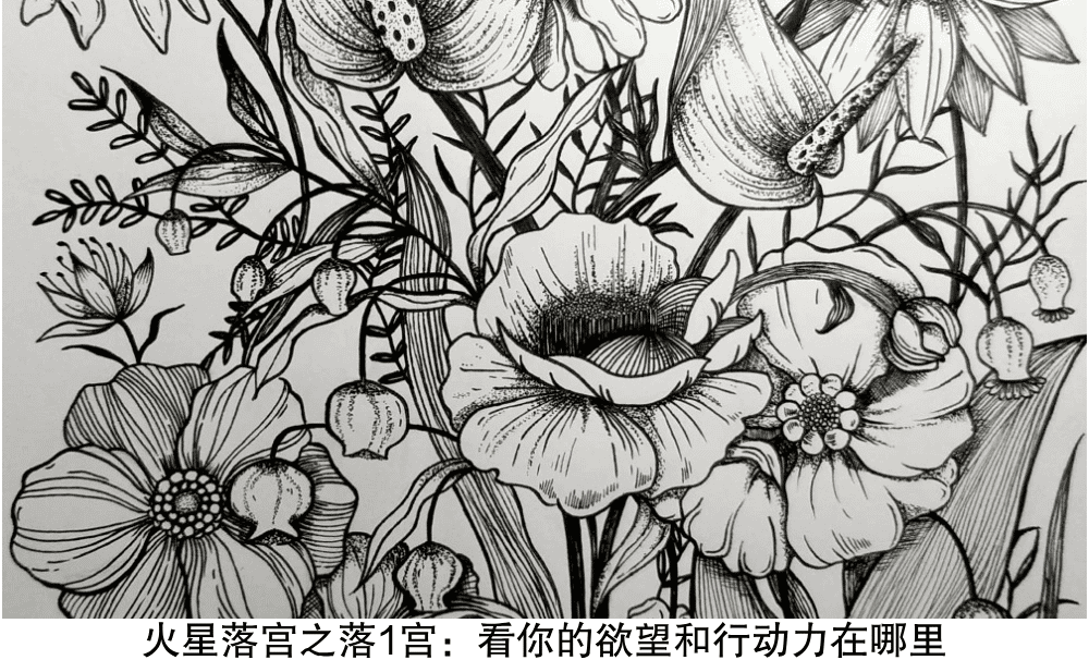 火星落宫之落1宫:看你的欲望和行动力在哪里