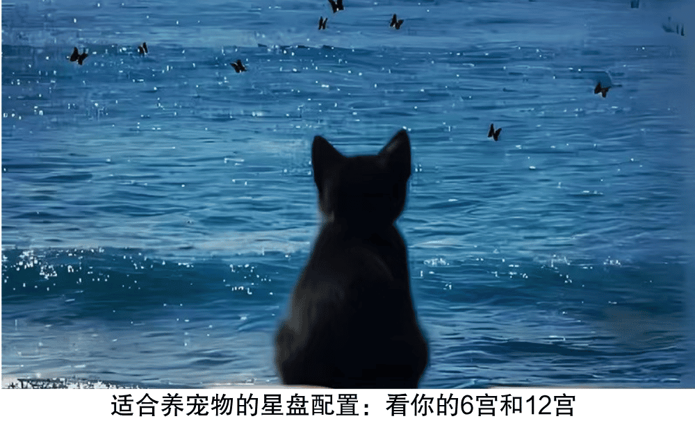 适合养宠物的星盘配置:看你的6宫和12宫