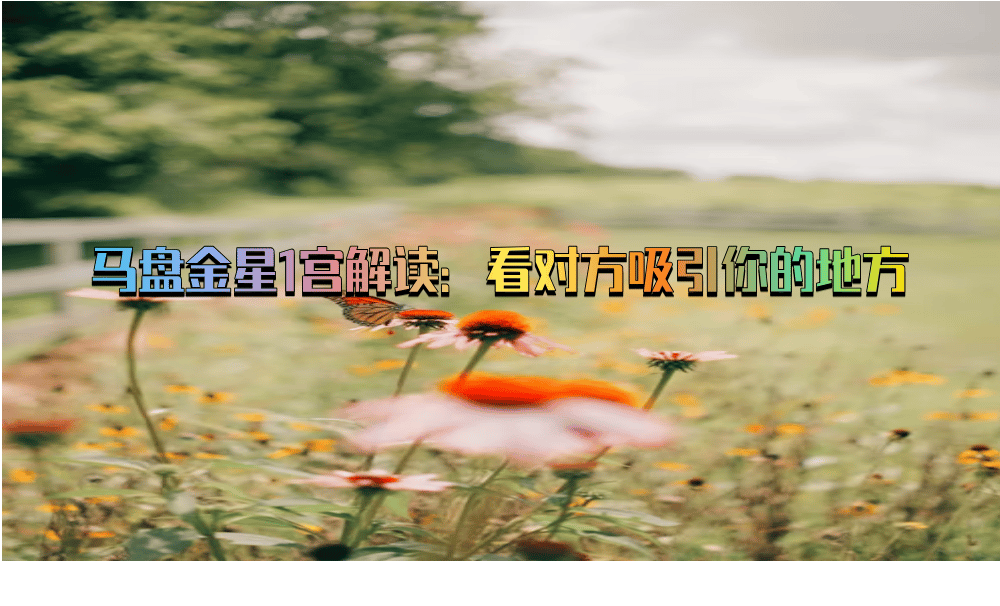 马盘金星1宫解读：看对方吸引你的地方