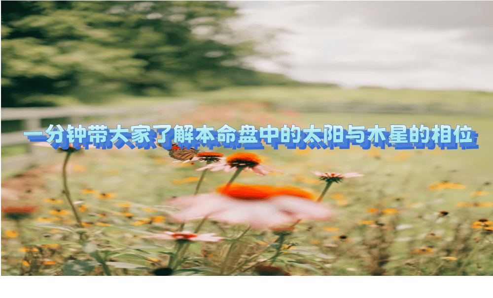 一分钟带大家了解本命盘中的太阳与木星的相位