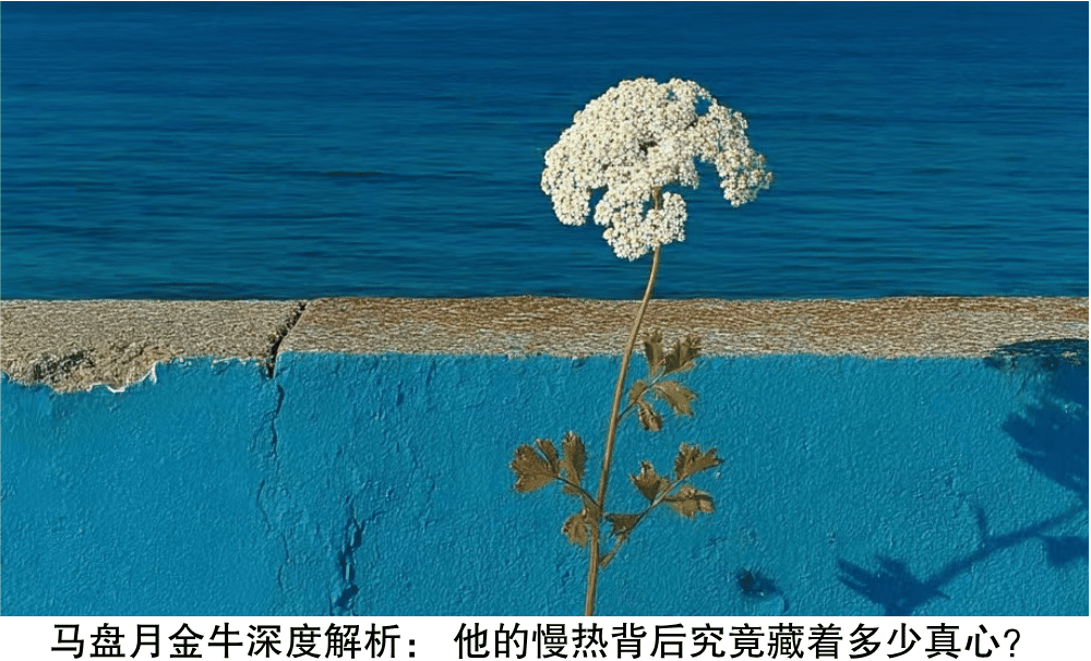 马盘月金牛深度解析:他的慢热背后究竟藏着多少真心?