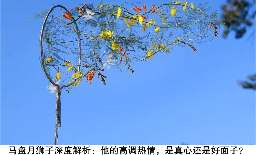 马盘月狮子深度解析:他的高调热情,是真心还是好面子?