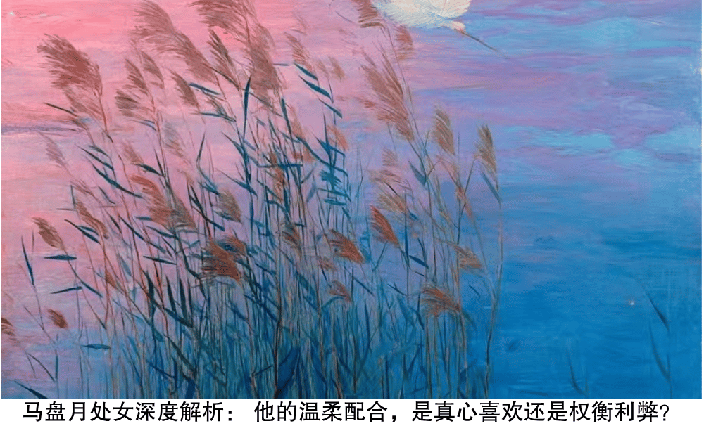 马盘月天秤深度解析:他的温柔配合,是真心喜欢还是权衡利弊?