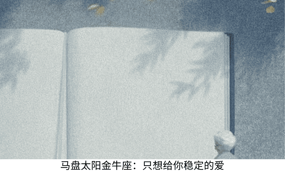 马盘太阳金牛座：只想给你稳定的爱
