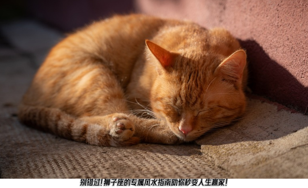 别错过！狮子座的专属风水指南助你秒变人生赢家！