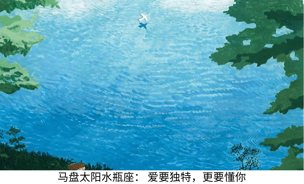 马盘太阳水瓶座:爱要独特,更要懂你