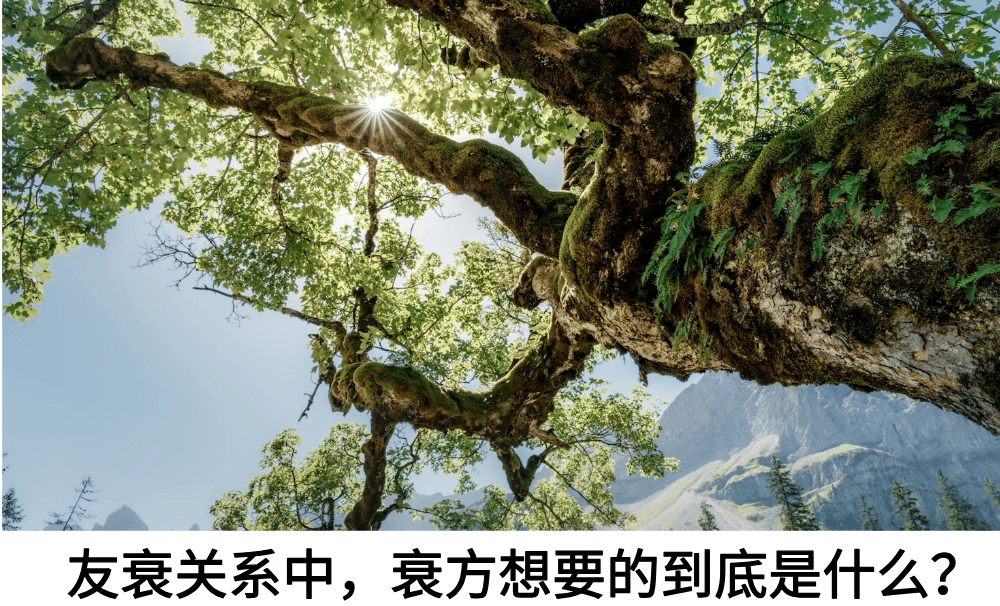 友衰关系中，衰方想要的到底是什么？