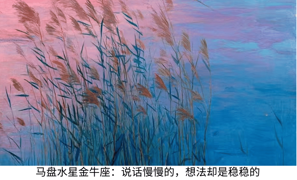 马盘水星金牛座:说话慢慢的,想法却是稳稳的