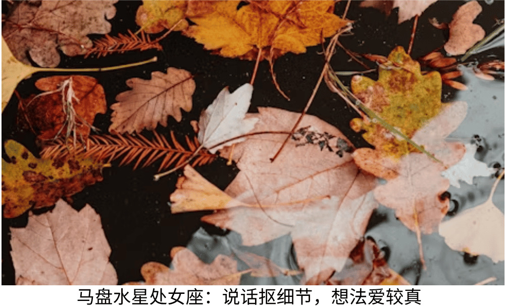 马盘水星处女座：说话抠细节，想法爱较真