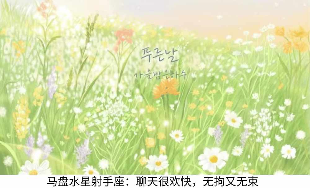 马盘水星射手座：聊天很欢快，无拘又无束