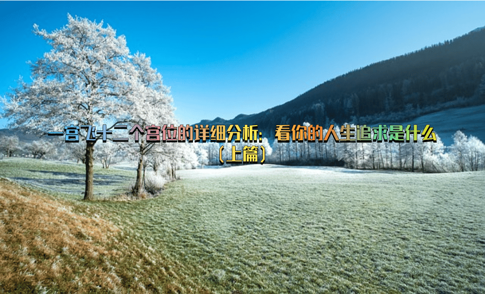 一宫飞十二个宫位的详细分析：看你的人生追求是什么（上篇）