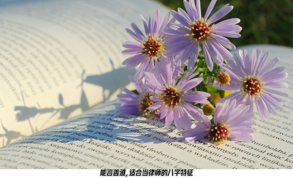 能言善道，适合当律师的八字特征