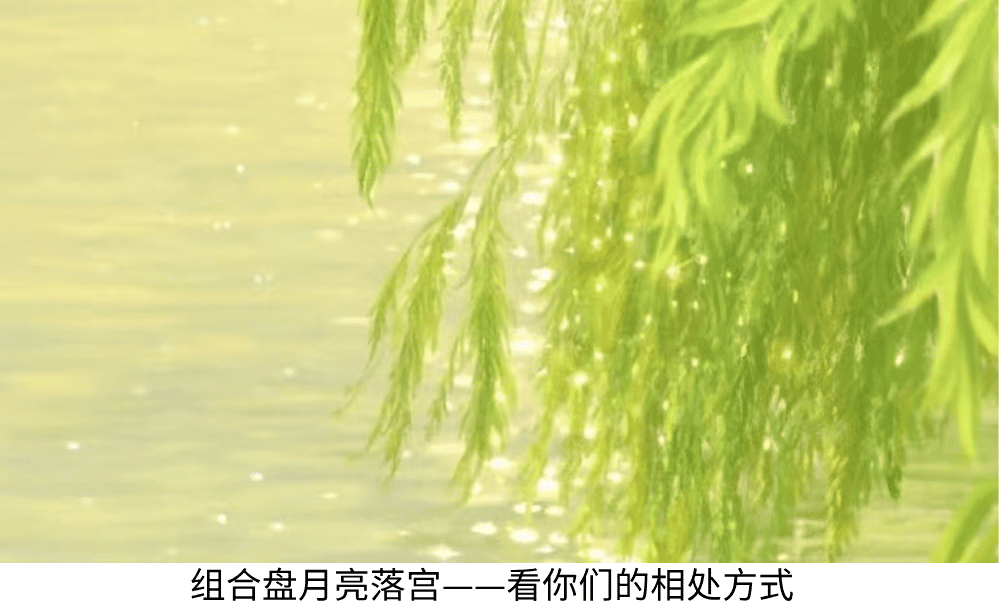 组合盘月亮落宫——看你们的相处方式