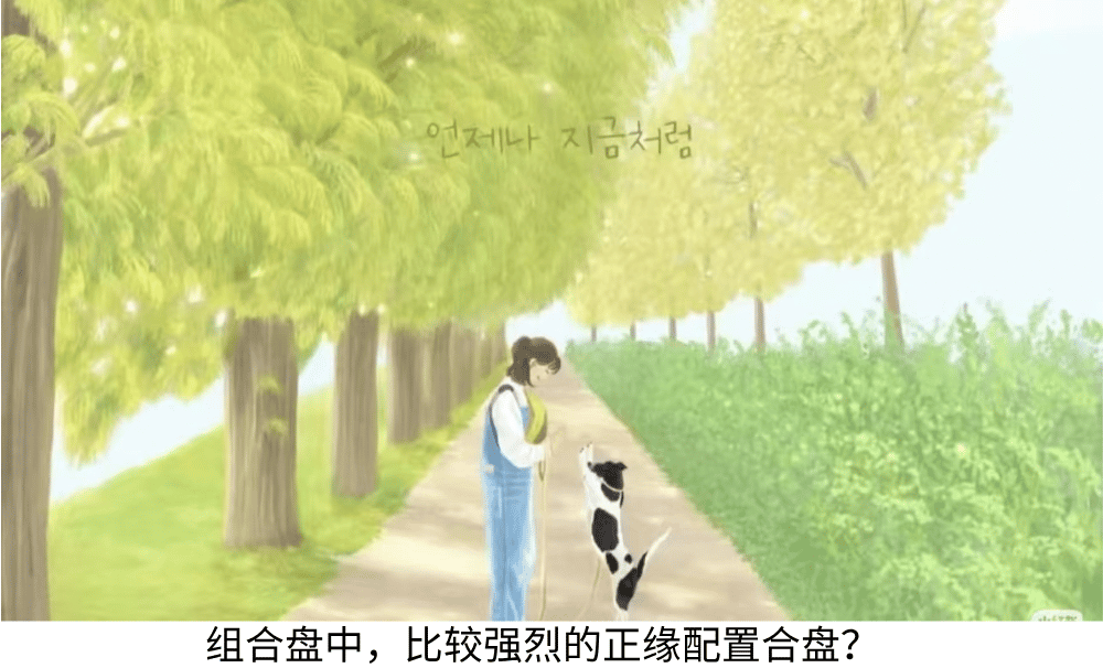 组合盘中,比较强烈的正缘配置合盘?