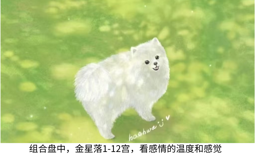 组合盘中,金星落1-12宫,看感情的温度和感觉