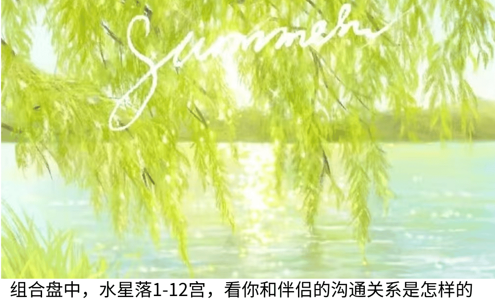 组合盘中,水星落1-12宫,看你和伴侣的沟通关系是怎样的