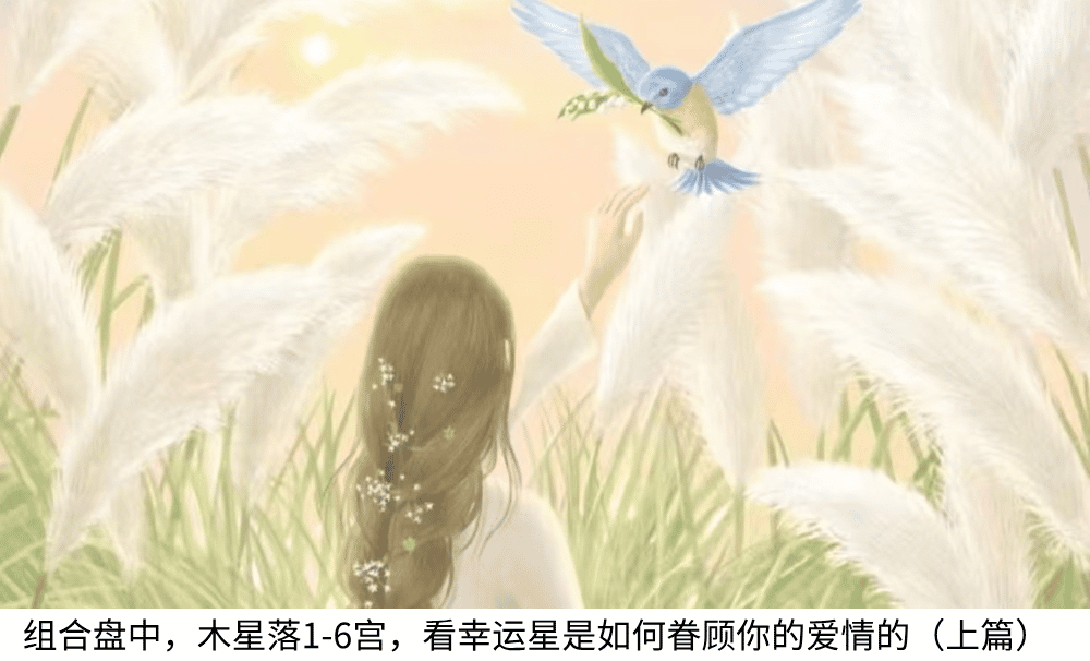 组合盘中,木星落1-6宫,看幸运星是如何眷顾你的爱情的(上篇)