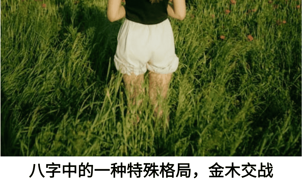 八字中的一种特殊格局，金木交战
