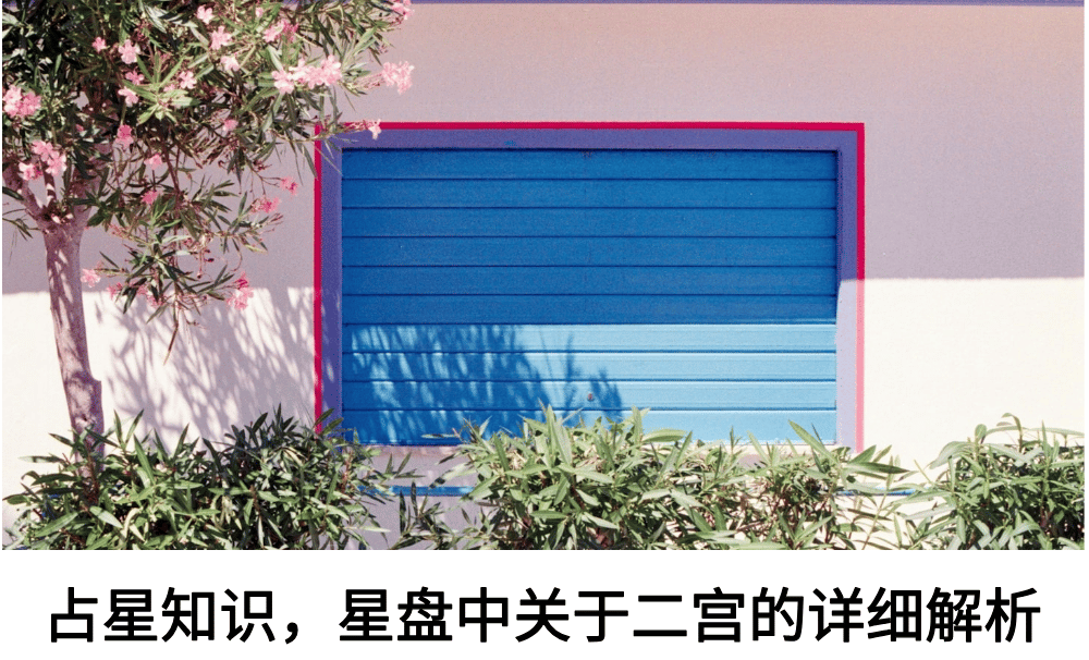 占星知识,星盘中关于二宫的详细解析