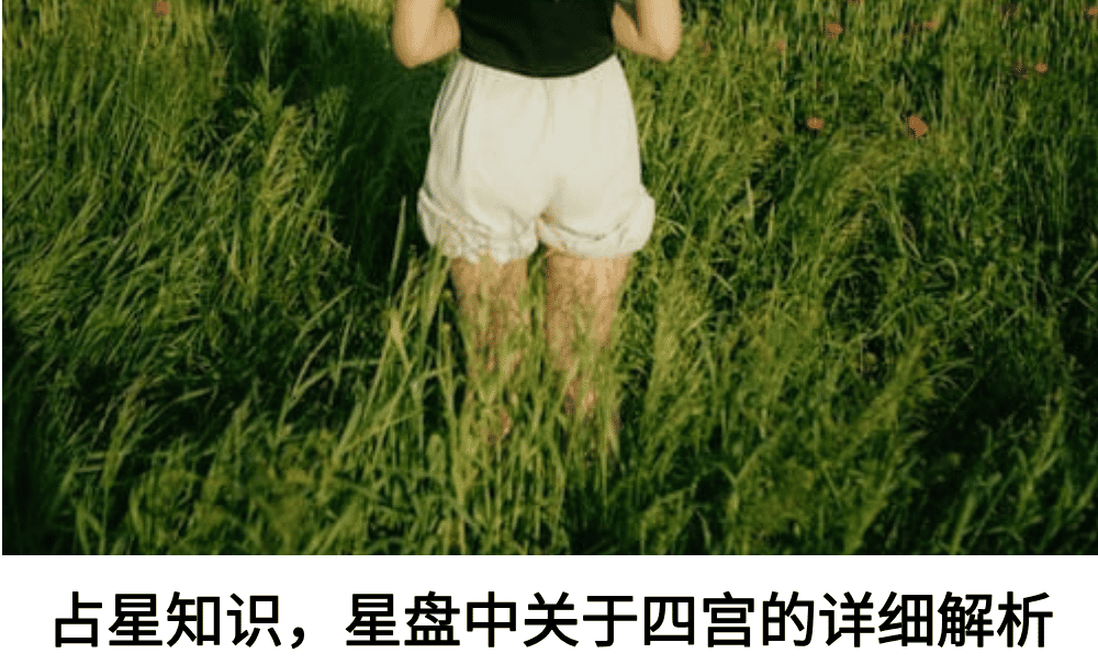 占星知识,星盘中关于四宫的详细解析