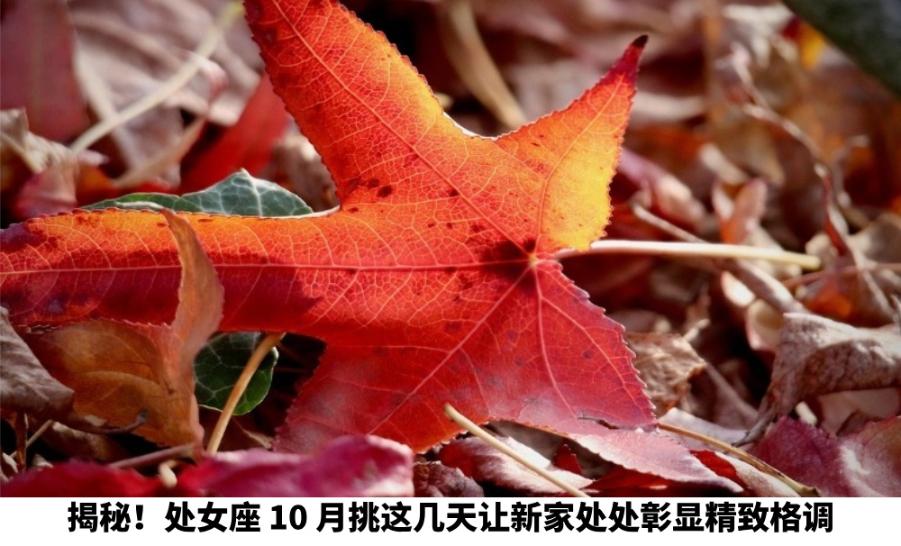 揭秘！处女座10月挑这几天让新家处处彰显精致格调