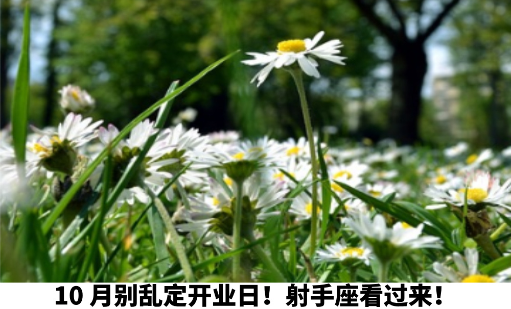 10月别乱定开业日！射手座看过来！