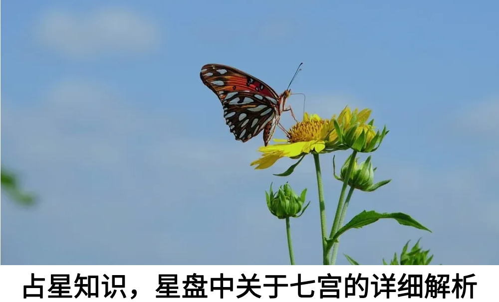 新手小白必看，星盘中关于七宫的到底是什么？