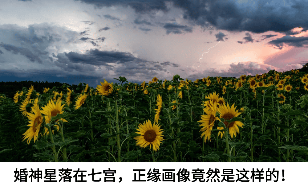 婚神星落在七宫,正缘画像竟然是这样的!