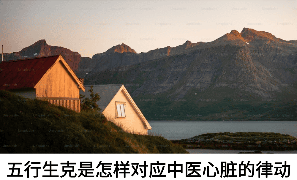 五行生克是怎样对应中医心脏的律动