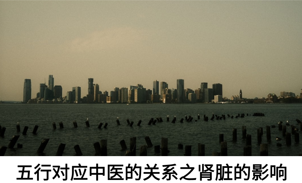 五行对应中医的关系之肾脏的影响