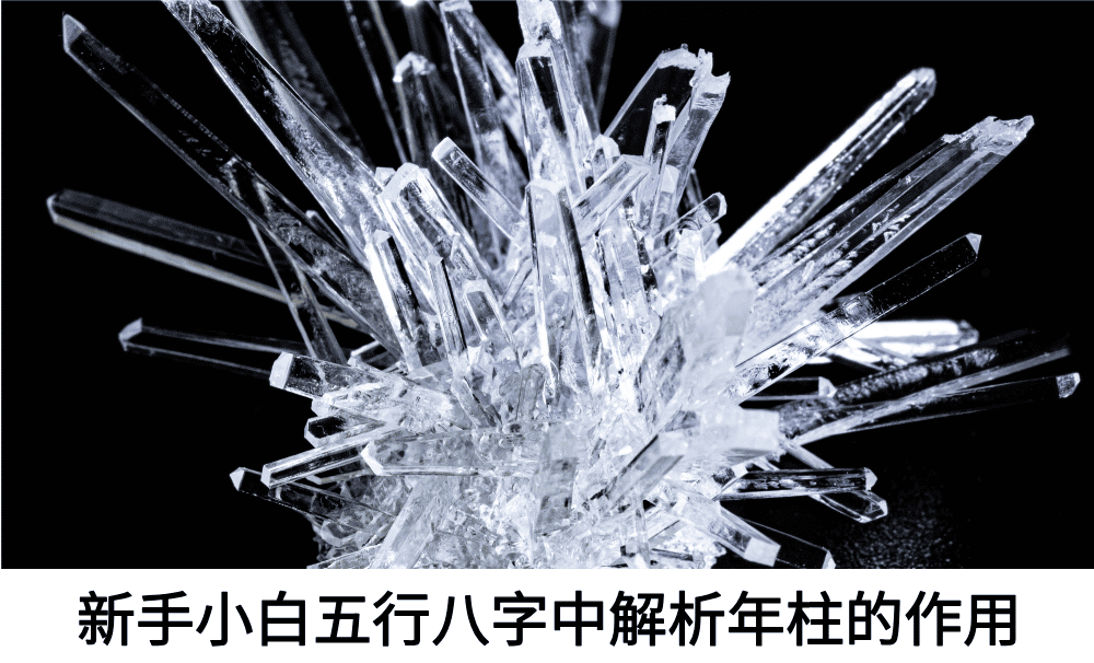 新手小白五行八字中解析年柱的作用