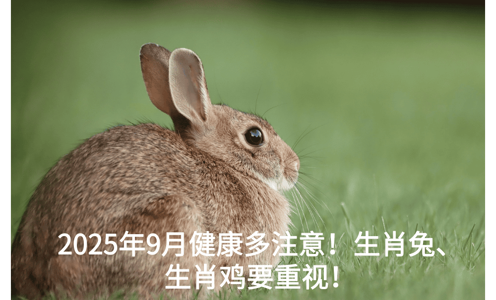 2025年9月健康多注意！生肖兔、生肖鸡要重视！