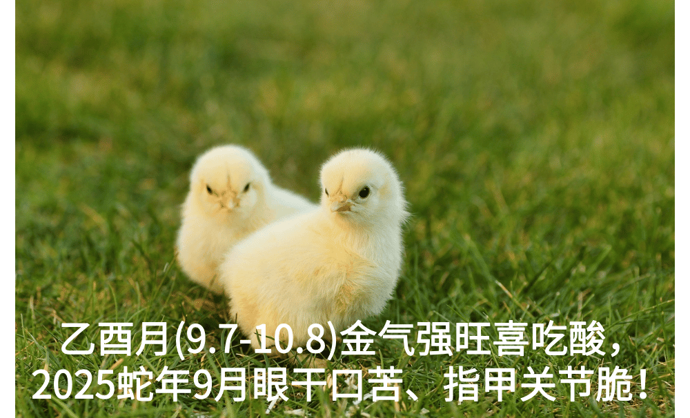 乙酉月(9.7-10.8)金气强旺喜吃酸，2025蛇年9月眼干口苦、指甲关节脆！