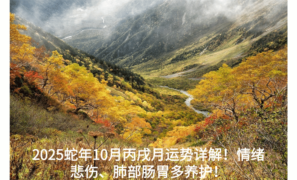 2025蛇年10月丙戌月运势详解！情绪悲伤、肺部肠胃多养护！