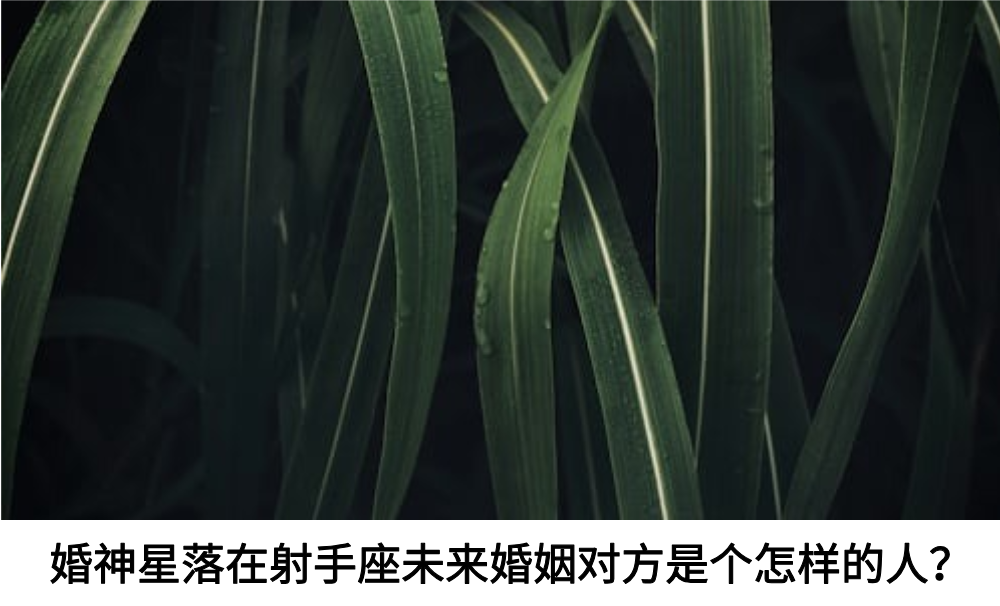 婚神星落在射手座未来婚姻对方是个怎样的人?