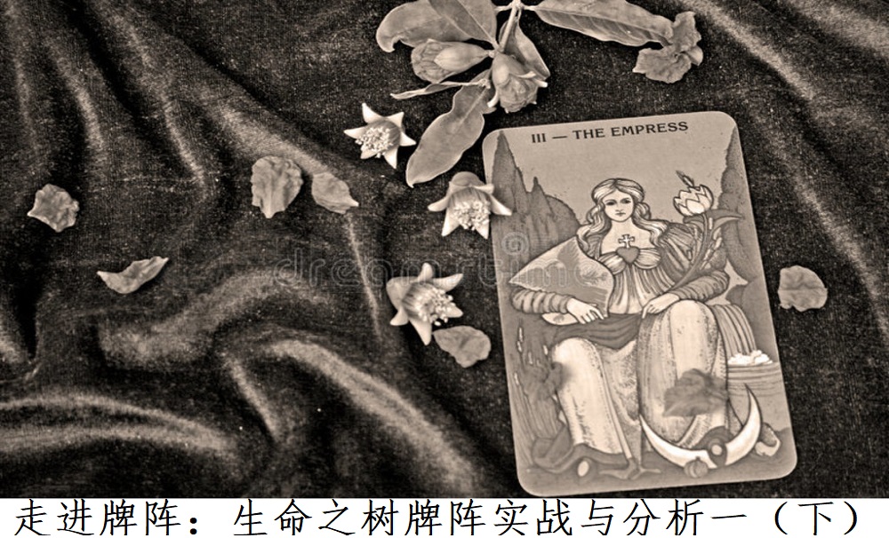 走进牌阵：生命之树牌阵实战与分析一（下）!