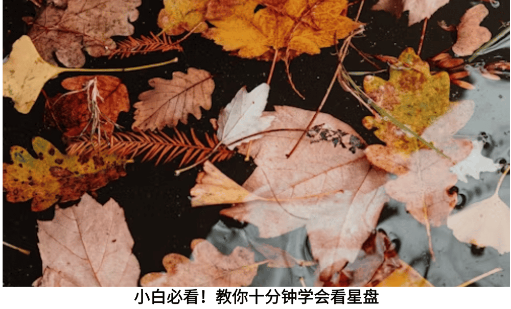 小白必看！教你十分钟学会看星盘