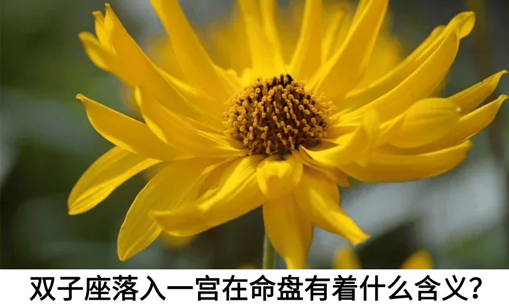 双子座落入一宫在命盘有着什么含义？