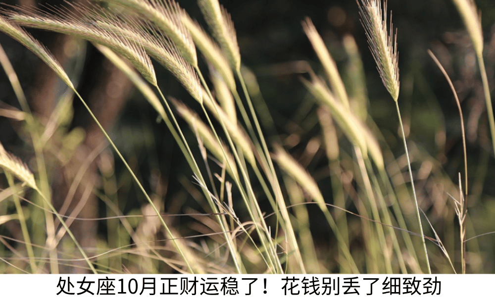 处女座