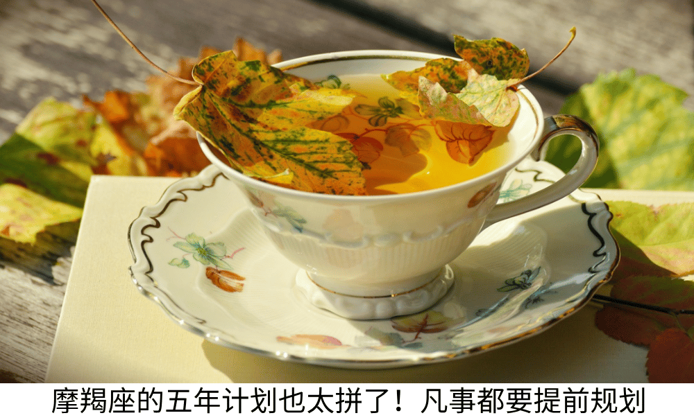 魔羯座
