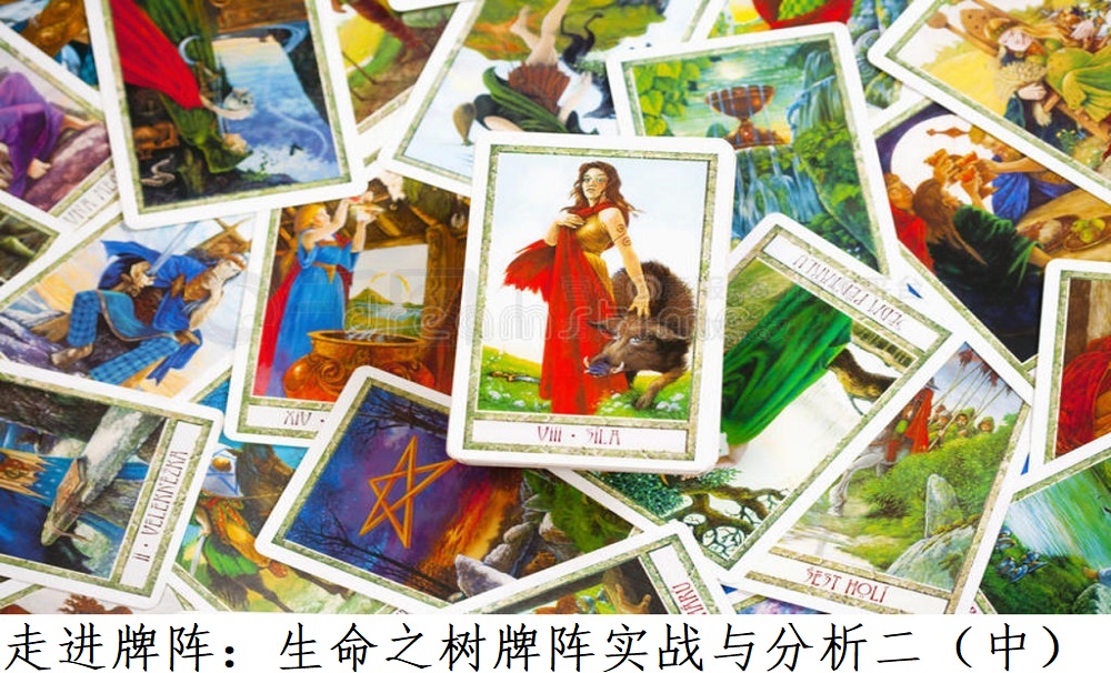 走进牌阵：生命之树牌阵实战与分析二（中）!