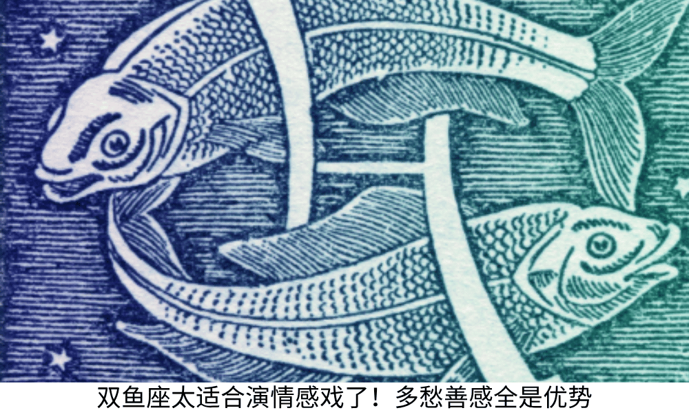 双鱼座