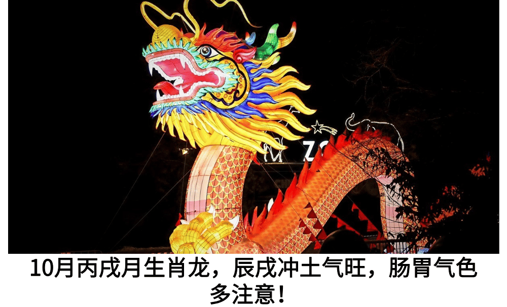 10月丙戌月生肖龙