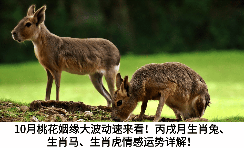 10月桃花姻缘大波动