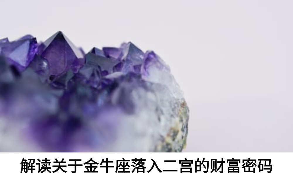 解读关于金牛座落入二宫的财富密码